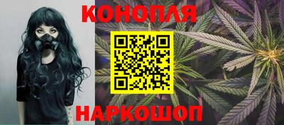 эйфоретик Аргун