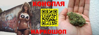 эйфоретик Аргун